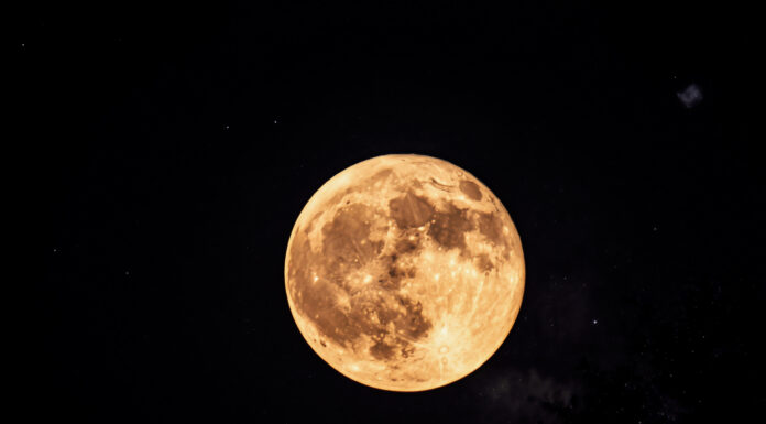 Op-Ed: Did you see the Buck Moon?