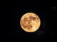 Op-Ed: Did you see the Buck Moon?