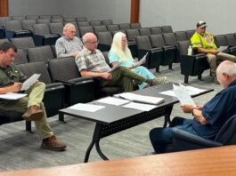 Cullman Tree Commission looks ahead to park plantings, Festival of Trees
