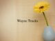 Obituary: Wayne Trucks