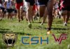 PREP CROSS-COUNTRY: Cullman girls place 2nd at Wildcat Invitational; local runners compete across 3 meets