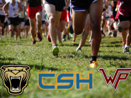 PREP CROSS-COUNTRY: Cullman girls place 2nd at Wildcat Invitational; local runners compete across 3 meets