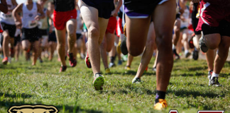 PREP CROSS-COUNTRY: Cullman girls place 2nd at Wildcat Invitational; local runners compete across 3 meets