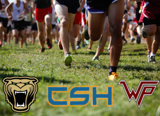 PREP CROSS-COUNTRY: Cullman girls place 2nd at Wildcat Invitational; local runners compete across 3 meets
