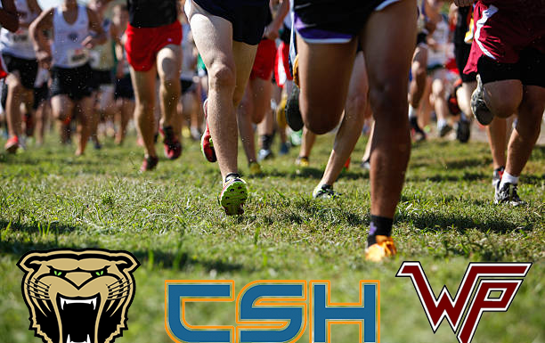 PREP CROSS-COUNTRY: Cullman girls place 2nd at Wildcat Invitational; local runners compete across 3 meets