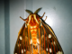 Op-Ed: Moths and a healthy ecosystem