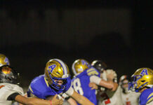 PREP FOOTBALL: Unbeaten Addison, Cold Springs headline 4-game Friday slate