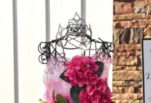 Popular Little Pink Dress event back Oct. 6