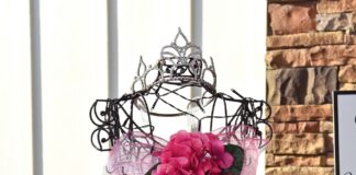 Popular Little Pink Dress event back Oct. 6