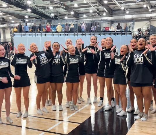 PREP CHEERLEADING: Cullman County squads bring home 4 division titles from AHSAA North Super Regional