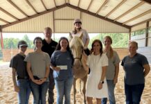 Saying yes to hope – Cullman Savings Bank invests in Hope Horses covered arena