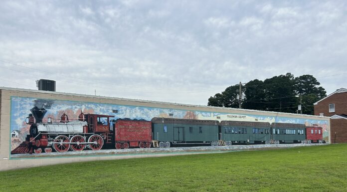 Explore downtown murals