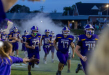 PREP FOOTBALL: Fairview rolls past Sardis 41-2