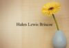 Obituary: Hulen Lewis Briscoe