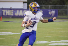 PREP FOOTBALL: No. 2 Addison stays rolling with a 60-7 win over Waterloo