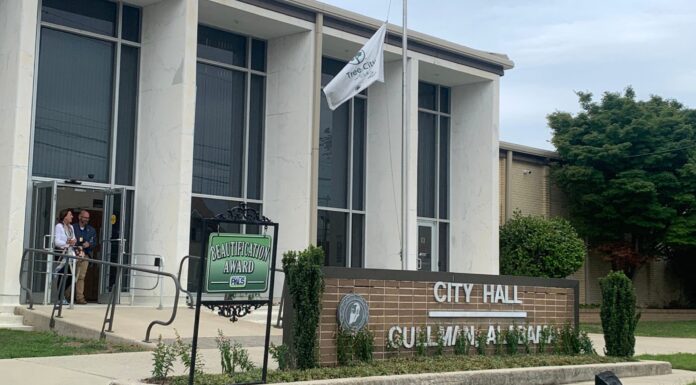 Brock Trace moves into environmental permitting following subdivision approval