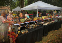 10th Annual Bernard Blues & BBQ Festival set for Sept. 12-13