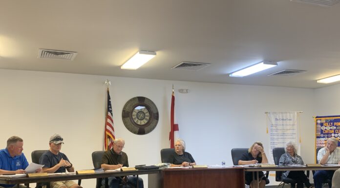 Holly Pond Town Council votes to surplus water tower