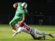 PREP FOOTBALL: Vinemont bests Holly Pond 54-14