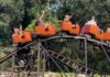 Columbus Day fun: Families pack 4D Farm for fall festival