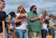 Dachshunds dash for glory at Cullman Oktoberfest
