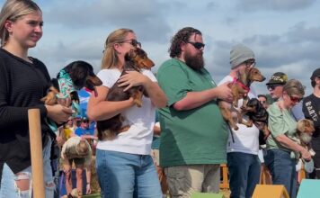 Dachshunds dash for glory at Cullman Oktoberfest