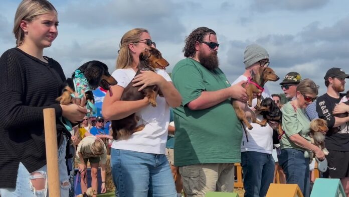 1 MAIN - Owners hold racers at the starting line