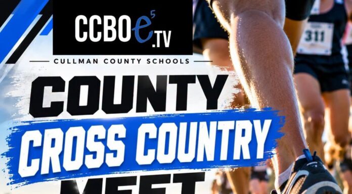 PREP CROSS COUNTRY: Cold Springs seeks to extend county title streaks Tuesday