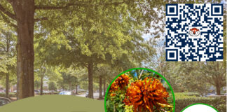 Extension to host free Landscape Tree Care and Maintenance workshop Oct. 27