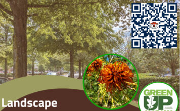 Extension to host free Landscape Tree Care and Maintenance workshop Oct. 27