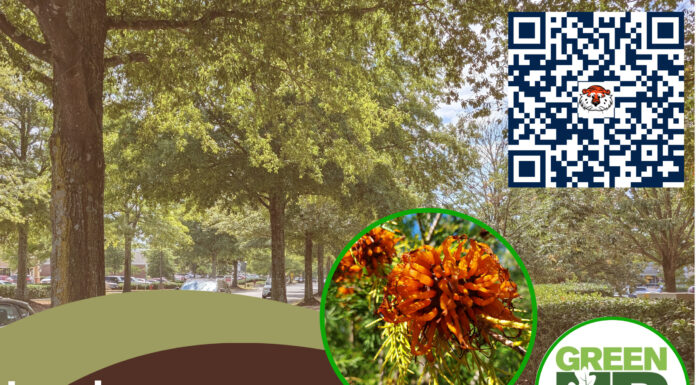 Extension to host free Landscape Tree Care and Maintenance workshop Oct. 27