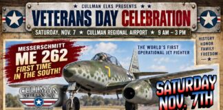 Cullman Veterans Day Celebration returns Nov. 7 featuring former Army Black Hawk Pilot Mike Durant