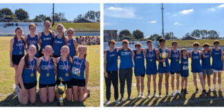 PREP CROSS COUNTRY: Cold Springs sweeps sectionals; 5 local teams advance to state