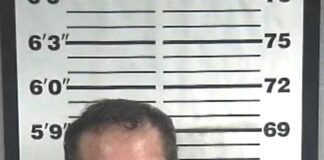 Cullman man wanted on felony warrants arrested after foot pursuit