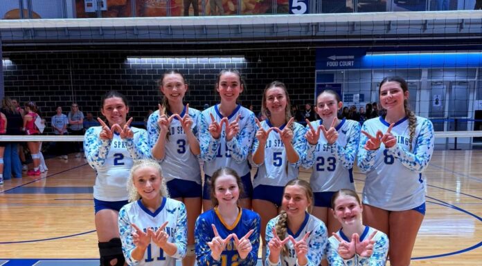 NORTH SUPER REGIONAL VOLLEYBALL: Addison, Meek, West Point, Cold Springs clinch state berths