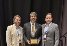 Gudger receives Senate Leader of the Year award from regional councils association