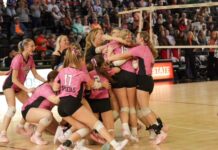 STATE VOLLEYBALL: Addison captures 16th state title with 3-1 victory over Meek
