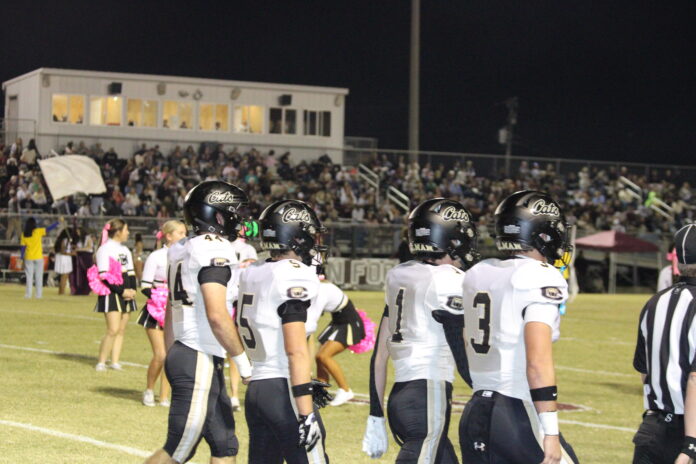 IMG_4853