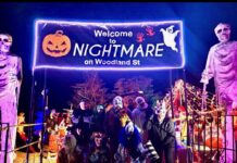 ‘Leave your light on’: The Nightmare on Woodland Street
