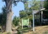 Arboreadum Bookshop and Garden hosting Audiobook Walks this month