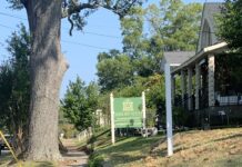 Arboreadum Bookshop and Garden hosting Audiobook Walks this month