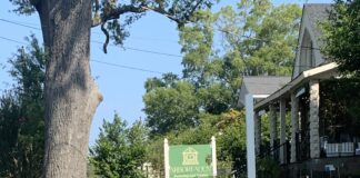 Arboreadum Bookshop and Garden hosting Audiobook Walks this month