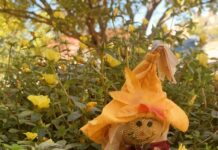 Op-Ed: Have a budget-friendly Halloween