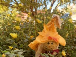 Op-Ed: Have a budget-friendly Halloween