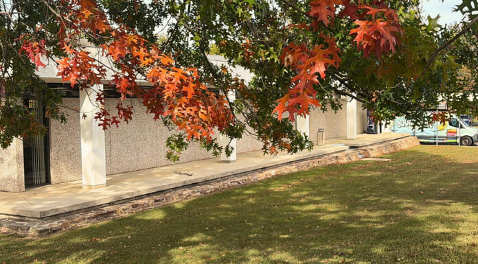 $50K Lowe’s grant to bring outdoor play and reading space to Cullman County Public Library