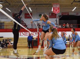 PREP VOLLEYBALL: West Point, Meek, Holly Pond claim area championships as 7 local teams advance