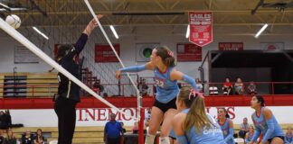 PREP VOLLEYBALL: West Point, Meek, Holly Pond claim area championships as 7 local teams advance