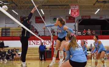 PREP VOLLEYBALL: West Point, Meek, Holly Pond claim area championships as 7 local teams advance