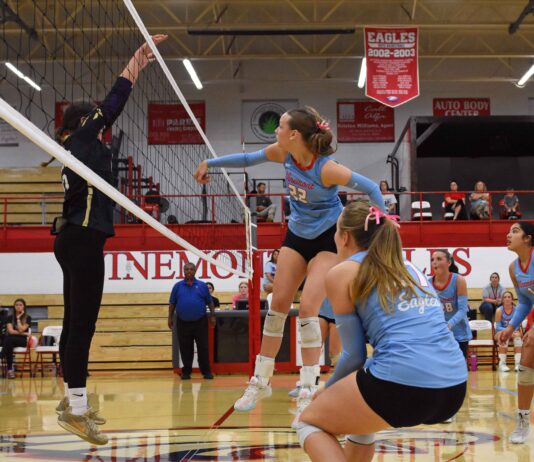 PREP VOLLEYBALL: West Point, Meek, Holly Pond claim area championships as 7 local teams advance