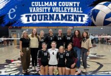 COUNTY VOLLEYBALL TOURNAMENT: West Point repeats as varsity champion; Fairview claims JV crown